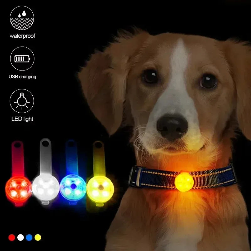 Luz LED de Seguridad Recargable para Collar de Perro