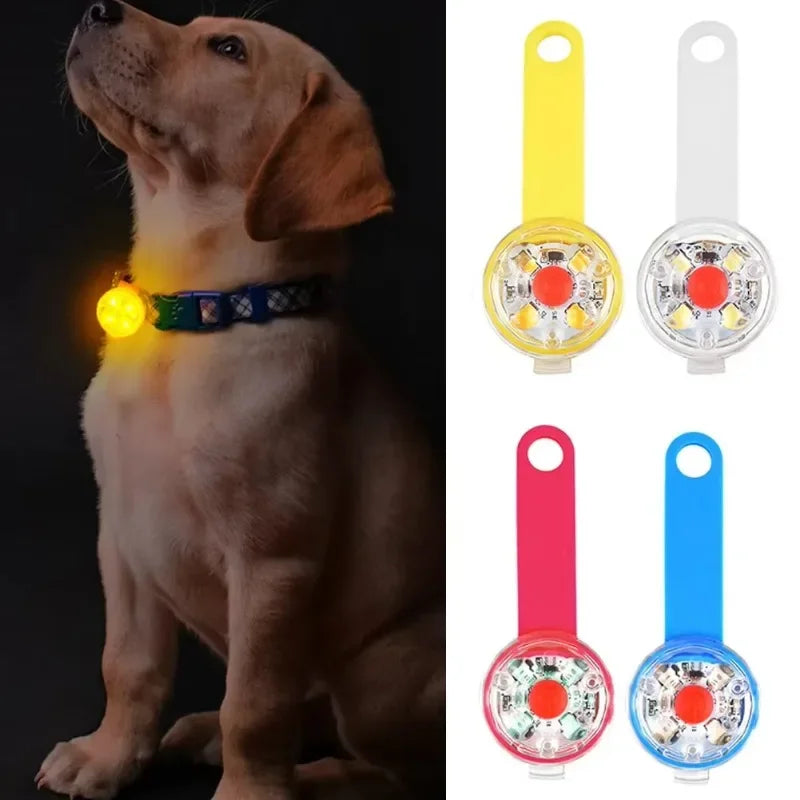 Luz LED de Seguridad Recargable para Collar de Perro