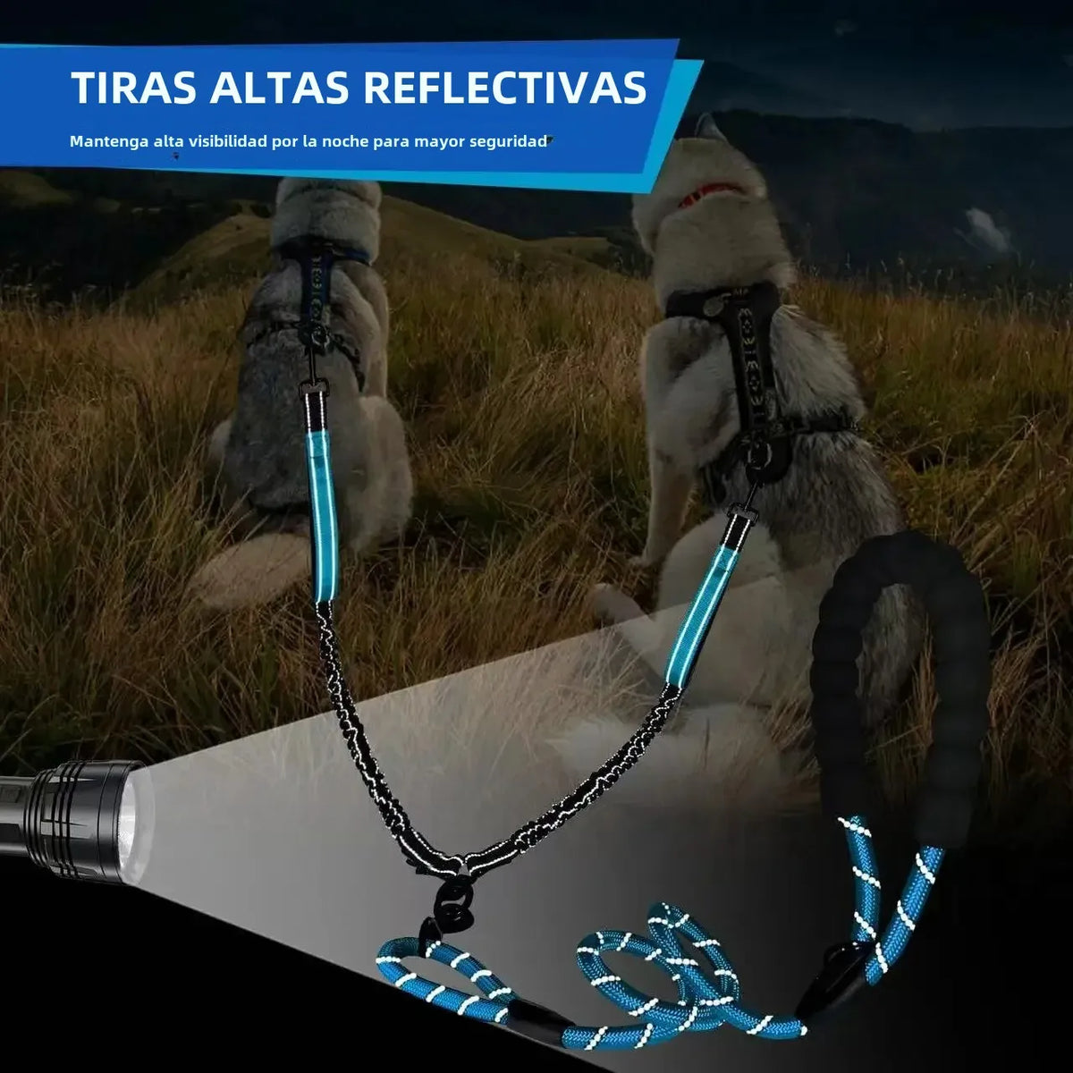 Correa doble reflectante para dos perros