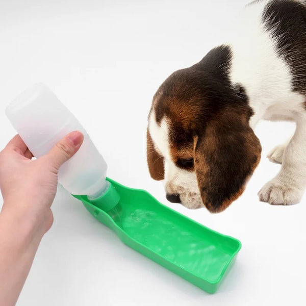 Botella de agua portátil para mascotas