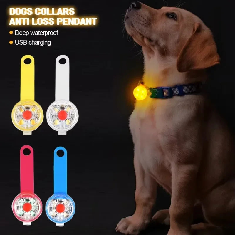 Luz LED de Seguridad Recargable para Collar de Perro
