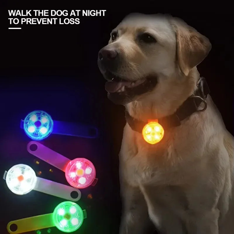 Luz LED de Seguridad Recargable para Collar de Perro